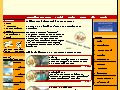 www.deutschland-panorama.de
Nemt og overskueligt websted, der g�r det muligt arbejde med virtuelle rejser til et antal tyske byer med brug af dette ene sted.